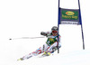 Thomas Fanara of France skiing in the first run of the Mens Giant slalom race of Audi FIS Ski World cup Kranjska gora, Slovenija. The Mens Giant Slalom race of Audi FIS Ski World cup 2013 was held on Saturday, 9th of March, 2013, on  course Podkoren in Kranjska gora, Slovenija.

