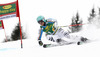 Felix Neureuther of Germany skiing in the first run of the Mens Giant slalom race of Audi FIS Ski World cup Kranjska gora, Slovenija. The Mens Giant Slalom race of Audi FIS Ski World cup 2013 was held on Saturday, 9th of March, 2013, on  course Podkoren in Kranjska gora, Slovenija.
