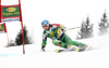 Marcus Sandell of Finland skiing in the first run of the Mens Giant slalom race of Audi FIS Ski World cup Kranjska gora, Slovenija. The Mens Giant Slalom race of Audi FIS Ski World cup 2013 was held on Saturday, 9th of March, 2013, on  course Podkoren in Kranjska gora, Slovenija.
