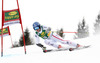 Benjamin Raich of Austria skiing in the first run of the Mens Giant slalom race of Audi FIS Ski World cup Kranjska gora, Slovenija. The Mens Giant Slalom race of Audi FIS Ski World cup 2013 was held on Saturday, 9th of March, 2013, on  course Podkoren in Kranjska gora, Slovenija.
