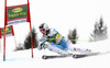Hannes Reichelt of Austria skiing in the first run of the Mens Giant slalom race of Audi FIS Ski World cup Kranjska gora, Slovenija. The Mens Giant Slalom race of Audi FIS Ski World cup 2013 was held on Saturday, 9th of March, 2013, on  course Podkoren in Kranjska gora, Slovenija.
