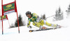 Leif Kristian Haugen of Norway skiing in the first run of the Mens Giant slalom race of Audi FIS Ski World cup Kranjska gora, Slovenija. The Mens Giant Slalom race of Audi FIS Ski World cup 2013 was held on Saturday, 9th of March, 2013, on  course Podkoren in Kranjska gora, Slovenija.
