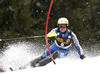 Mattias Hargin of Sweden skiing in the first run of the Mens Slalom race of Audi FIS Ski World cup Kranjska gora, Slovenija. The Mens Slalom race of Audi FIS Ski World cup 2013 was held on Sunday, 10th of March, 2013, on  course Podkoren in Kranjska gora, Slovenija.
