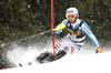 Fritz Dopfer of Germany skiing in the first run of the Mens Slalom race of Audi FIS Ski World cup Kranjska gora, Slovenija. The Mens Slalom race of Audi FIS Ski World cup 2013 was held on Sunday, 10th of March, 2013, on  course Podkoren in Kranjska gora, Slovenija.
