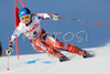Tanja Poutiainen of Finland clears a gate in the first run of FIS women alpine skiing World Cup giant slalom race in Ofterschwang, Germany. Giant slalom World cup race in Ofterschwang, Germany, was held on 26th of January 2008.
