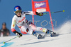Kathrin Zettel of Austria speeds down the course in the first run of FIS women alpine skiing World Cup giant slalom race in Ofterschwang, Germany. Giant slalom World cup race in Ofterschwang, Germany, was held on 26th of January 2008.
