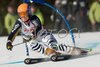Kathrin Hoelzl of Germany speeds down the course in  the first run of FIS women alpine skiing World Cup giant slalom race in Ofterschwang, Germany. Giant slalom World cup race in Ofterschwang, Germany, was held on 26th of January 2008.
