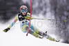 Mateja Robnik of Slovenia skiing in first run of women slalom World Cup race in Zagreb, Croatia. Slalom race of Snow Queen Trophy 2008 and Women FIS Alpine skiing World Cup was held in Zagreb, Croatia, on 15th of February 2008.
