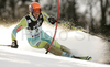 Bernard Vajdic of Slovenia skiing in first run of men slalom World Cup race in Zagreb, Croatia. Slalom race of Men FIS Alpine skiing World Cup was held in Zagreb, Croatia, on 17th of February 2008.
