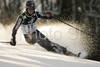 Ted Ligety of USA skiing in first run of men slalom World Cup race in Zagreb, Croatia. Slalom race of Men FIS Alpine skiing World Cup was held in Zagreb, Croatia, on 17th of February 2008.
