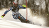 Patrick Thaler of Italy skiing in first run of men slalom World Cup race in Zagreb, Croatia. Slalom race of Men FIS Alpine skiing World Cup was held in Zagreb, Croatia, on 17th of February 2008.
