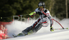 Julien Lizeroux of France skiing in second run of men slalom World Cup race in Zagreb, Croatia. Slalom race of Men FIS Alpine skiing World Cup was held in Zagreb, Croatia, on 17th of February 2008.
