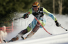 Mitja Valencic of Slovenia skiing in second run of men slalom World Cup race in Zagreb, Croatia. Slalom race of Men FIS Alpine skiing World Cup was held in Zagreb, Croatia, on 17th of February 2008.

