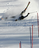 Ted Ligety of USA falling in second run of men slalom World Cup race in Zagreb, Croatia. Slalom race of Men FIS Alpine skiing World Cup was held in Zagreb, Croatia, on 17th of February 2008.
