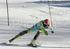Mitja Dragsic of Slovenia skiing in second run of men slalom World Cup race in Zagreb, Croatia. Slalom race of Men FIS Alpine skiing World Cup was held in Zagreb, Croatia, on 17th of February 2008.
