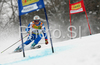Peter Fill of Italy skiing in first run of men giant slalom World Cup race in Kranjska Gora, Slovenia. Giant slalom race of Men FIS Alpine skiing World Cup was held in Kranjska Gora, Slovenia, on 8th of March 2008.
