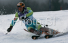 Mitja Valencic of Slovenia  skiing in first run of men slalom World Cup race in Kranjska Gora, Slovenia. Slalom race of Men FIS Alpine skiing World Cup was held in Kranjska Gora, Slovenia, on 9th of March 2008.
