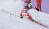 Sanni Leinonen of Finland skiing during first run of Women giant slalom Audi FIS Ski World Cup 2008-09 opening race. First race of Women Audi FIS Ski World Cup season 2008-09 was held on Saturday, 25th of October 2008 in Soelden, Austria.
