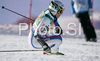 Frederic Covili of France skiing during first run of Men giant slalom Audi FIS Ski World Cup 2008-09 opening race. First race of Men Audi FIS Ski World Cup season 2008-09 was held on Sunday, 26th of October 2008 in Soelden, Austria.
