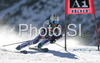 Julien Lizeroux of France skiing during first run of Men giant slalom Audi FIS Ski World Cup 2008-09 opening race. First race of Men Audi FIS Ski World Cup season 2008-09 was held on Sunday, 26th of October 2008 in Soelden, Austria.
