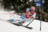 Leader after first run Didier Cuche of Switzerland skiing in first run of Alta Badia Men giant slalom race of Audi FIS Ski World Cup 2008-09. Giant slalom race of Men Audi FIS Ski World Cup 2008-09 was traditionally held on Gran Risa course in Alta Badia, Italy, on Sunday, 21st of December 2008.
