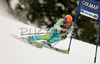Bernard Vajdic of Slovenia skiing in first run of Alta Badia Men giant slalom race of Audi FIS Ski World Cup 2008-09. Giant slalom race of Men Audi FIS Ski World Cup 2008-09 was traditionally held on Gran Risa course in Alta Badia, Italy, on Sunday, 21st of December 2008.
