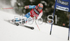 Leader after first run Didier Cuche of Switzerland skiing in first run of Alta Badia Men giant slalom race of Audi FIS Ski World Cup 2008-09. Giant slalom race of Men Audi FIS Ski World Cup 2008-09 was traditionally held on Gran Risa course in Alta Badia, Italy, on Sunday, 21st of December 2008.
