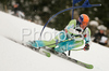 Bernard Vajdic of Slovenia skiing in first run of Alta Badia Men giant slalom race of Audi FIS Ski World Cup 2008-09. Giant slalom race of Men Audi FIS Ski World Cup 2008-09 was traditionally held on Gran Risa course in Alta Badia, Italy, on Sunday, 21st of December 2008.
