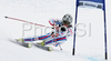 Thomas Fanara of France skiing in second run of Alta Badia Men giant slalom race of Audi FIS Ski World Cup 2008-09. Giant slalom race of Men Audi FIS Ski World Cup 2008-09 was traditionally held on Gran Risa course in Alta Badia, Italy, on Sunday, 21st of December 2008.
