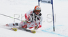 Third placed Hannes Reichelt of Austria skiing in second run of Alta Badia Men giant slalom race of Audi FIS Ski World Cup 2008-09. Giant slalom race of Men Audi FIS Ski World Cup 2008-09 was traditionally held on Gran Risa course in Alta Badia, Italy, on Sunday, 21st of December 2008.
