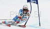 Winner Daniel Albrecht of Switzerland skiing in second run of Alta Badia Men giant slalom race of Audi FIS Ski World Cup 2008-09. Giant slalom race of Men Audi FIS Ski World Cup 2008-09 was traditionally held on Gran Risa course in Alta Badia, Italy, on Sunday, 21st of December 2008.
