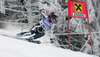 Nadia Fanchini of Italy skiing in second run of Semmering women giant slalom race of Audi FIS Ski World Cup 2008-09. Giant slalom race of Women Audi FIS Ski World Cup 2008-09 was held Semmering, Austria, on Sunday, 28th of December 2008.
