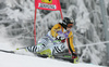 Kathrin Hoelzl of Germany skiing in second run of Semmering women giant slalom race of Audi FIS Ski World Cup 2008-09. Giant slalom race of Women Audi FIS Ski World Cup 2008-09 was held Semmering, Austria, on Sunday, 28th of December 2008.
