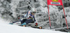 Second placed Manuela Moelgg of Italy skiing in second run of Semmering women giant slalom race of Audi FIS Ski World Cup 2008-09. Giant slalom race of Women Audi FIS Ski World Cup 2008-09 was held Semmering, Austria, on Sunday, 28th of December 2008.
