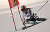 Nadia Fanchini of Italy skiing in first run of Semmering women giant slalom race of Audi FIS Ski World Cup 2008-09. Giant slalom race of Women Audi FIS Ski World Cup 2008-09 was held Semmering, Austria, on Sunday, 28th of December 2008.
