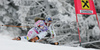 Eight placed Lindsey Vonn of USA skiing in second run of Semmering women giant slalom race of Audi FIS Ski World Cup 2008-09. Giant slalom race of Women Audi FIS Ski World Cup 2008-09 was held Semmering, Austria, on Sunday, 28th of December 2008.
