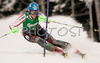 Fifth placed after first run, Veronika Zuzulova of Slovakia skiing in first run of Semmering women slalom race of Audi FIS Ski World Cup 2008-09. Slalom race of Women Audi FIS Ski World Cup 2008-09 was held Semmering, Austria, on Monday, 29th of December 2008.
