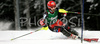 Eight placed after first run Nika Fleiss of Croatia skiing in first run of Semmering women slalom race of Audi FIS Ski World Cup 2008-09. Slalom race of Women Audi FIS Ski World Cup 2008-09 was held Semmering, Austria, on Monday, 29th of December 2008.
