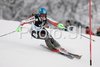 Third placed after first run Veronika Zuzulova of Slovakia skiing in first run of Zagreb women slalom race of Audi FIS Ski World Cup 2008-09. Slalom race of Women Audi FIS Ski World Cup 2008-09 was held Zagreb, Croatia, on Sunday, 4th of January 2009.
