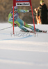 Second placed after first run Tina Maze of Slovenia skiing in first run of Maribor women giant slalom race of Audi FIS Ski World Cup 2008-09. Giant slalom race of Women Audi FIS Ski World Cup 2008-09 was held in Maribor, Slovenia on Saturday, 10th of January 2009.
