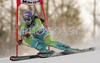Winner Tina Maze of Slovenia skiing in second run of Maribor women giant slalom race of Audi FIS Ski World Cup 2008-09. Giant slalom race of Women Audi FIS Ski World Cup 2008-09 was held in Maribor, Slovenia on Saturday, 10th of January 2009.
