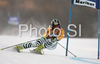Fourth placed after first run Kathrin Hoelzl of Germany skiing in first run of Maribor women giant slalom race of Audi FIS Ski World Cup 2008-09. Giant slalom race of Women Audi FIS Ski World Cup 2008-09 was held in Maribor, Slovenia on Saturday, 10th of January 2009.

