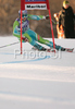 Second placed after first run Tina Maze of Slovenia skiing in first run of Maribor women giant slalom race of Audi FIS Ski World Cup 2008-09. Giant slalom race of Women Audi FIS Ski World Cup 2008-09 was held in Maribor, Slovenia on Saturday, 10th of January 2009.
