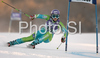 Second placed after first run Tina Maze of Slovenia skiing in first run of Maribor women giant slalom race of Audi FIS Ski World Cup 2008-09. Giant slalom race of Women Audi FIS Ski World Cup 2008-09 was held in Maribor, Slovenia on Saturday, 10th of January 2009.
