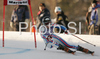 Taina Barioz of France skiing in first run of Maribor women giant slalom race of Audi FIS Ski World Cup 2008-09. Giant slalom race of Women Audi FIS Ski World Cup 2008-09 was held in Maribor, Slovenia on Saturday, 10th of January 2009.

