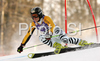 Third placed Kathrin Hoelzl of Germany skiing in second run of Maribor women giant slalom race of Audi FIS Ski World Cup 2008-09. Giant slalom race of Women Audi FIS Ski World Cup 2008-09 was held in Maribor, Slovenia on Saturday, 10th of January 2009.
