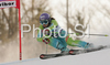 Winner Tina Maze of Slovenia skiing in second run of Maribor women giant slalom race of Audi FIS Ski World Cup 2008-09. Giant slalom race of Women Audi FIS Ski World Cup 2008-09 was held in Maribor, Slovenia on Saturday, 10th of January 2009.
