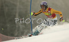 Leader after first run Maria Riesch of Germany skiing in first run of Maribor women slalom race of Audi FIS Ski World Cup 2008-09. Slalom race of Women Audi FIS Ski World Cup 2008-09 was held in Maribor, Slovenia on Sunday, 11th of January 2009.
