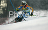 Fifth placed Anja Paerson of Sweden skiing in first run of Maribor women slalom race of Audi FIS Ski World Cup 2008-09. Slalom race of Women Audi FIS Ski World Cup 2008-09 was held in Maribor, Slovenia on Sunday, 11th of January 2009.
