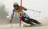 Therese Borssen of Sweden skiing in first run of Maribor women slalom race of Audi FIS Ski World Cup 2008-09. Slalom race of Women Audi FIS Ski World Cup 2008-09 was held in Maribor, Slovenia on Sunday, 11th of January 2009.
